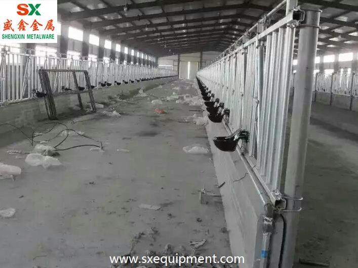 Iron Cast Cattle Water Bowl