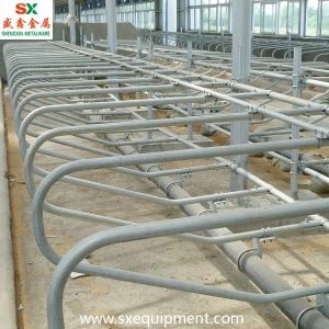 Ganadu Free Shengxin Fabrika